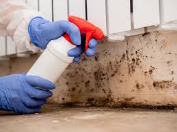 Best Real Estate Mold Inspection  in Morrisville, NY